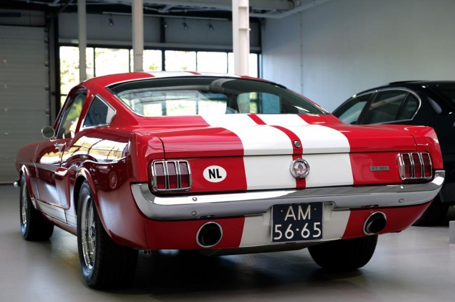  Shelby GT350 Tribute Edition 1965 года  (фото 6 из 46)